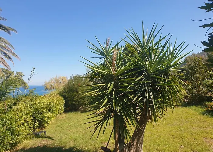 La Terrazza Sul Mare